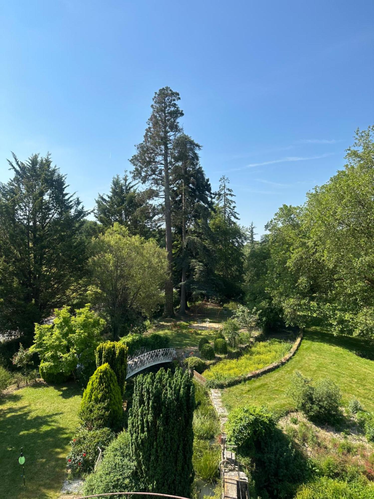 לינה וארוחת בוקר Le Moulin De Francueil מראה חיצוני תמונה